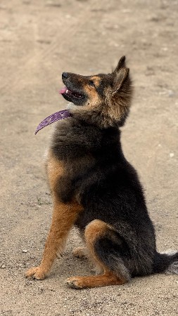 થંબનેલ 2