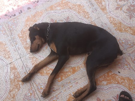 થંબનેલ 3