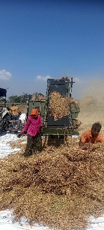 ગીતા થેસર પટા વાડુ વેચવાનું છે