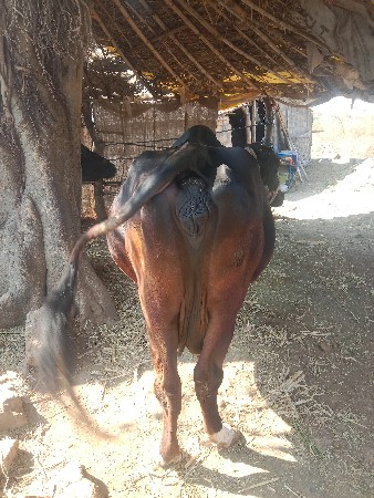 थंबनेल 3