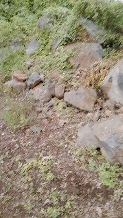 પથર વેચવાના છે.ટનાહીસાબે