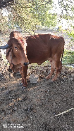 थंबनेल 2