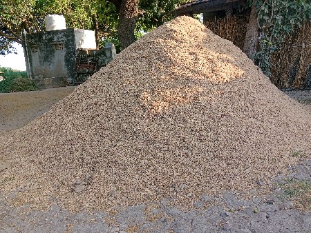 ચણા નુ ખારીયુ વેચવા નુ છે