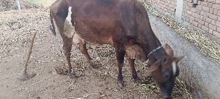 थंबनेल 2