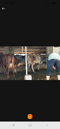 થંબનેલ 4