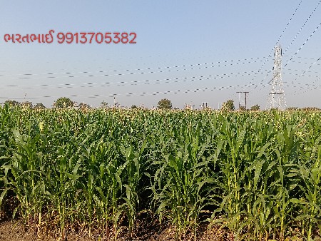 મકો વેચવા નો છે