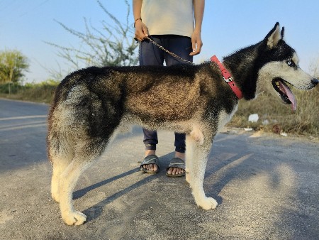 थंबनेल 3