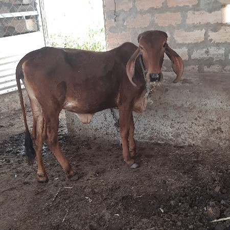 थंबनेल 3