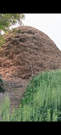 G20 મગફળી નો ભૂકો