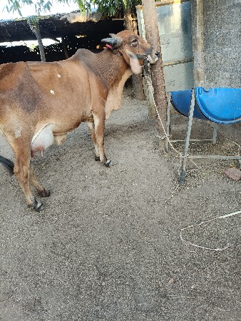 थंबनेल 2