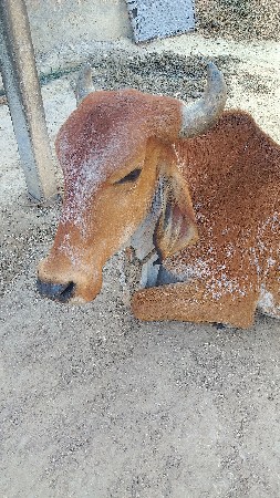 थंबनेल 3