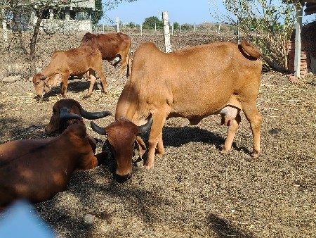 थंबनेल 2