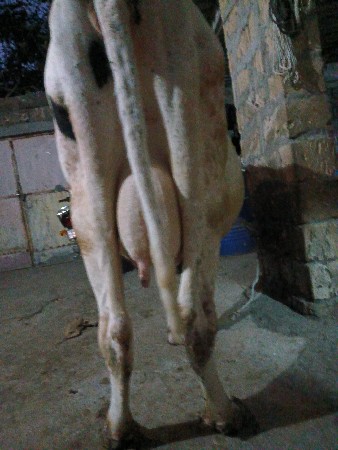 થંબનેલ 2