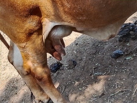 थंबनेल 2