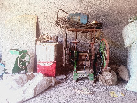 સિસોડો વેચવાનો છે