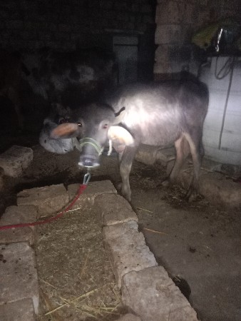 थंबनेल 3