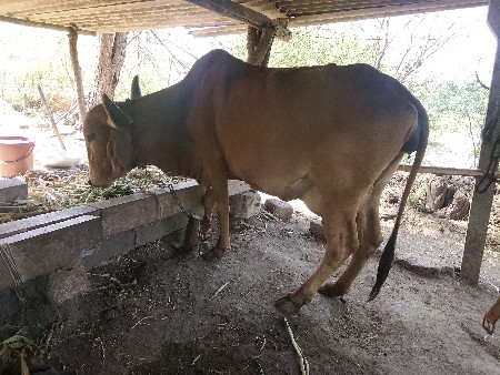 थंबनेल 2