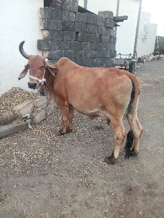 थंबनेल 3