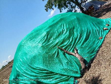 ભુકો વેચવા નો છે