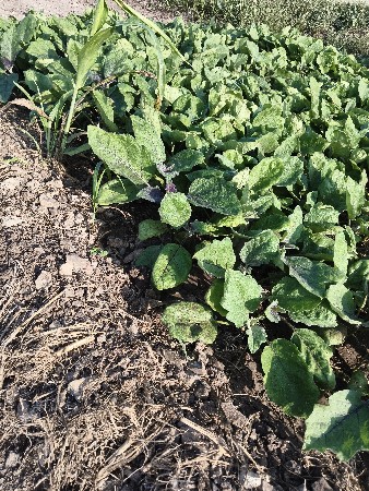 थंबनेल 2