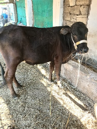 थंबनेल 3