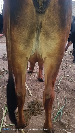 થંબનેલ 3