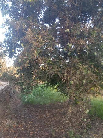 थंबनेल 2