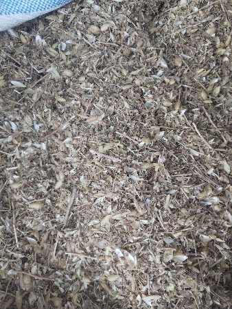 ખારીયુ વેચવાનુ સે 11 વીઘા નુ