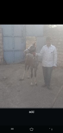 થંબનેલ 2