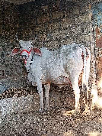 थंबनेल 2