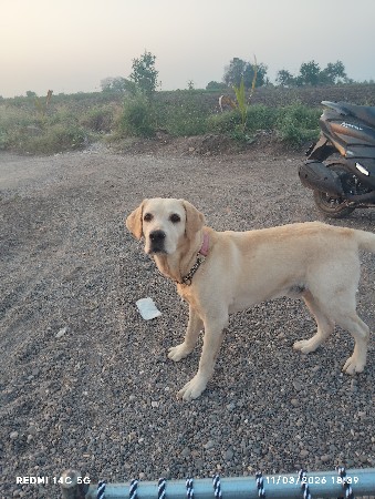 थंबनेल 2