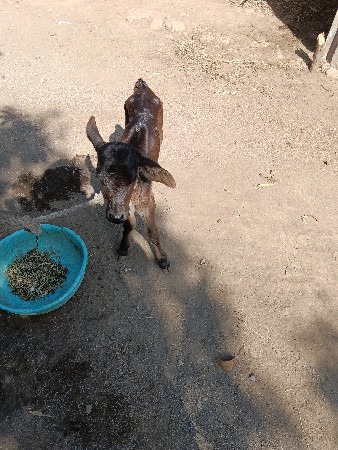 थंबनेल 2