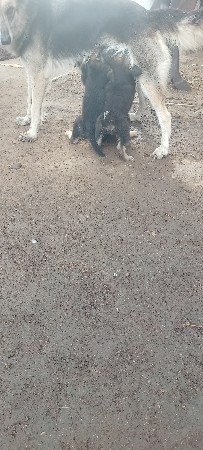 થંબનેલ 3