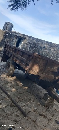 थंबनेल 4