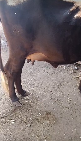 थंबनेल 2