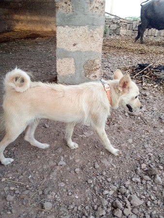 थंबनेल 3