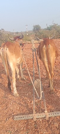 થંબનેલ 3