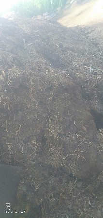 છાણીયું ખાતર વેસવાનું