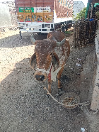 थंबनेल 2