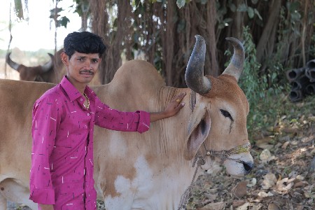 થંબનેલ 3