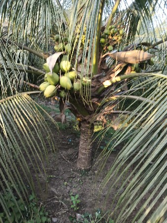 થંબનેલ 2