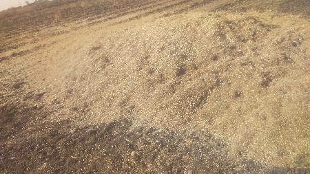 ચણાનો  ભૂકો વેચવાનો છે