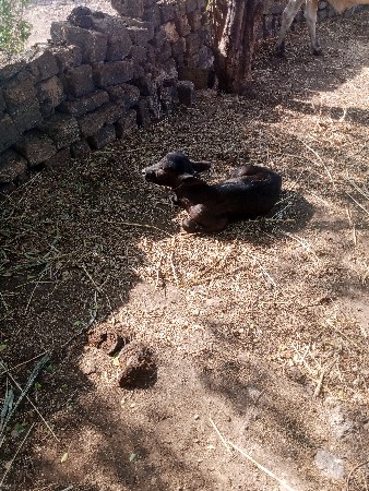 थंबनेल 3