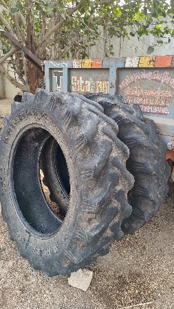 થંબનેલ 2