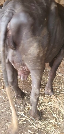 थंबनेल 2