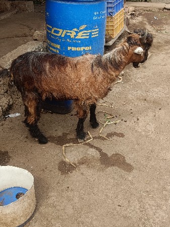 थंबनेल 3