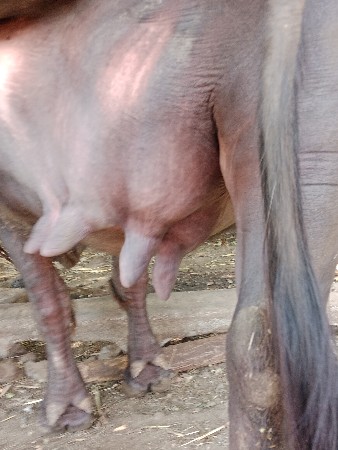 थंबनेल 2