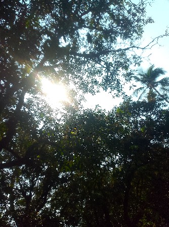 थंबनेल 3