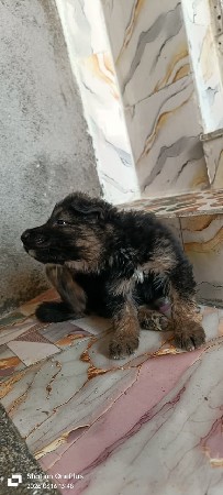 थंबनेल 3