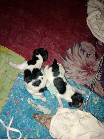 થંબનેલ 3